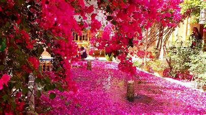 حیاط هتل کهن کاشانه یزد حیاط هتل کهن کاشانه یزد